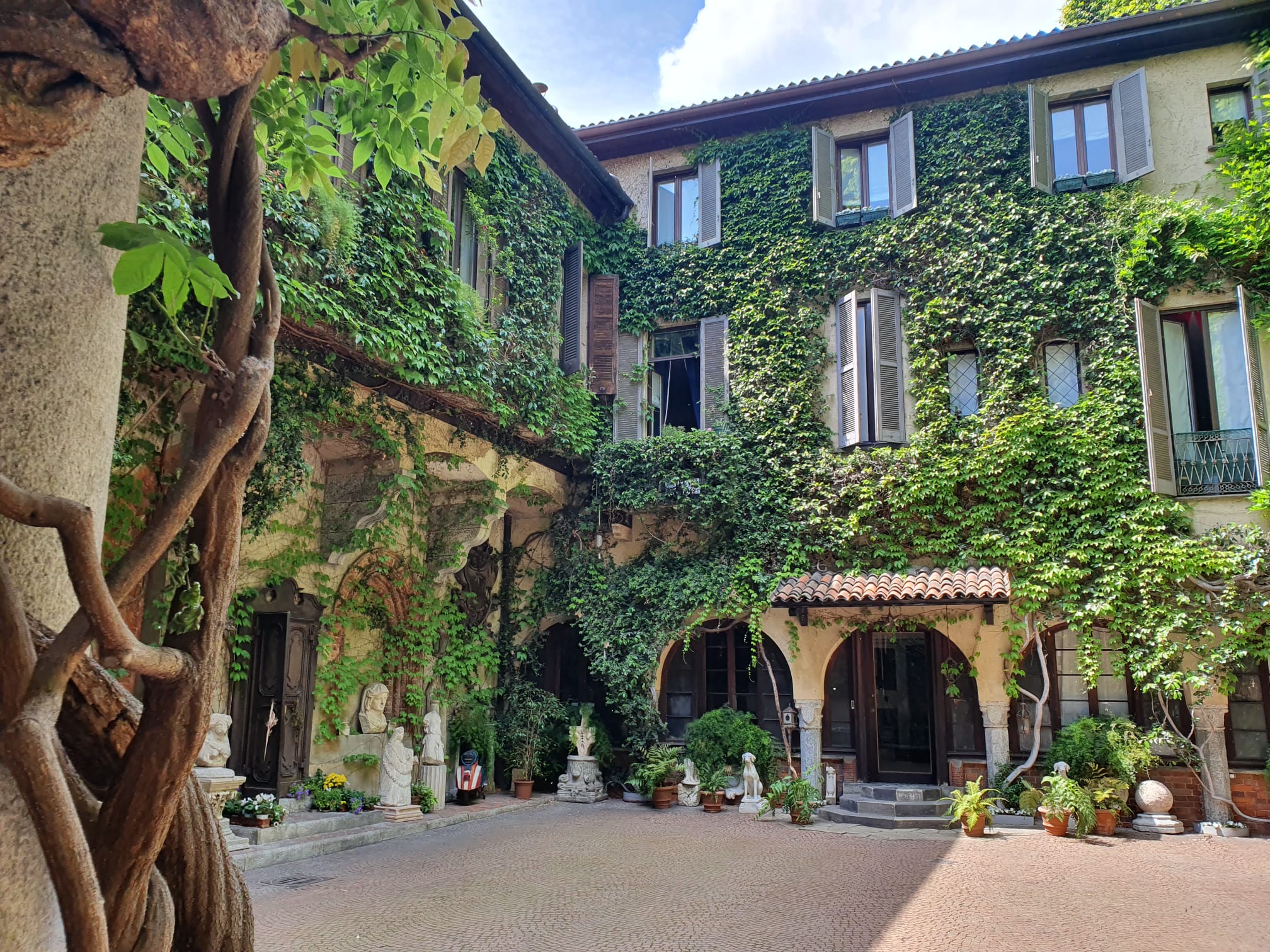 vino di Leonardo