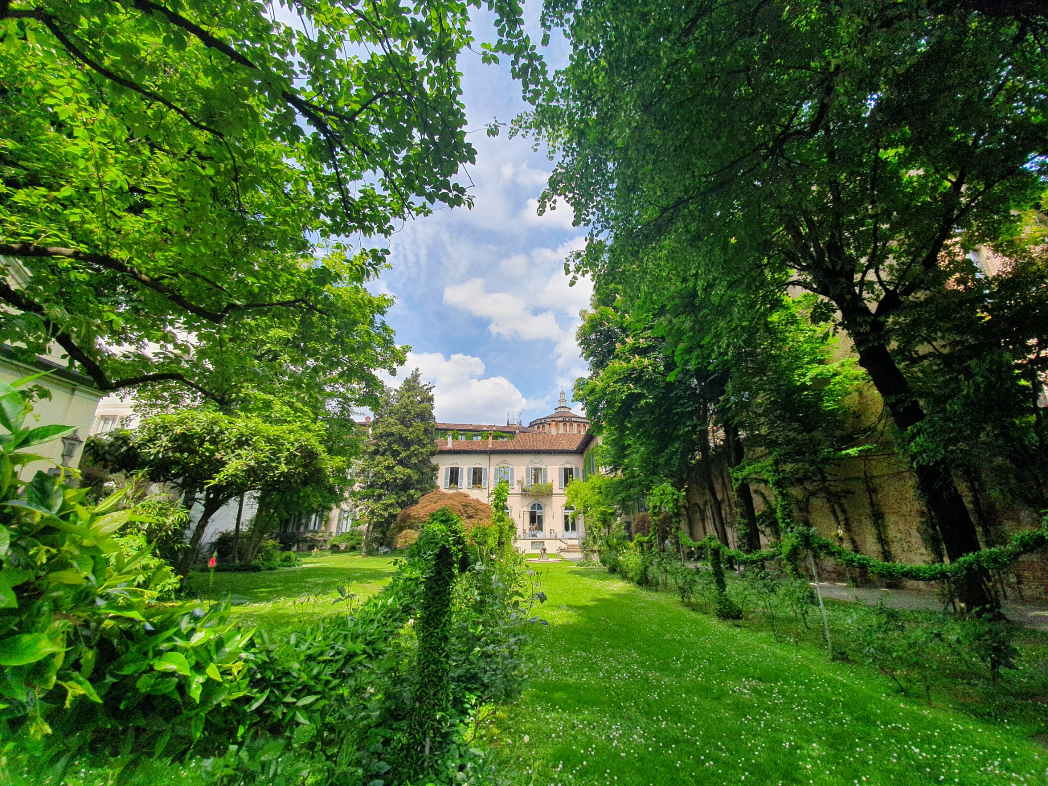 vino di Leonardo