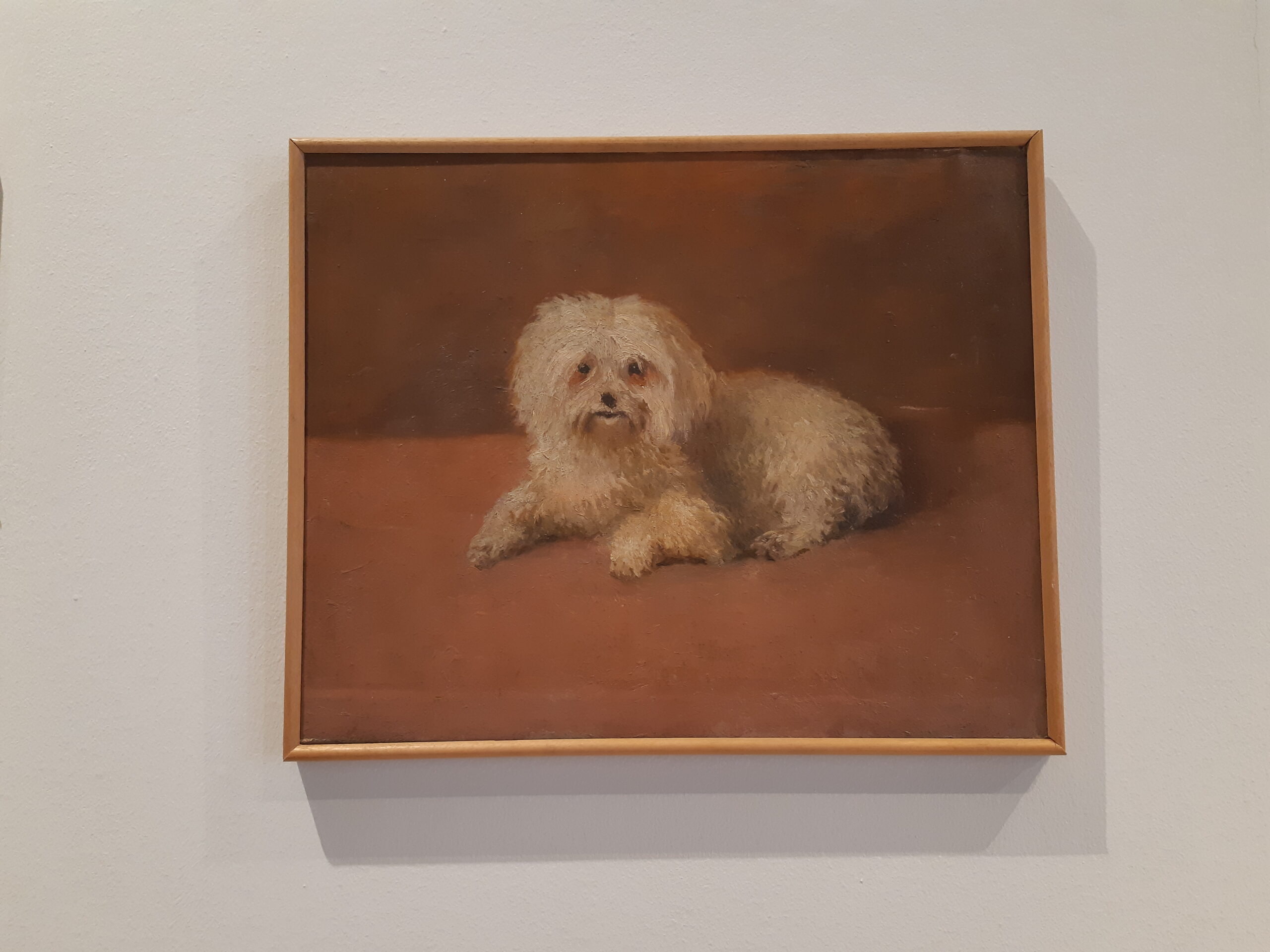 Katy Castellucci_cagnolino, 1939 (2)