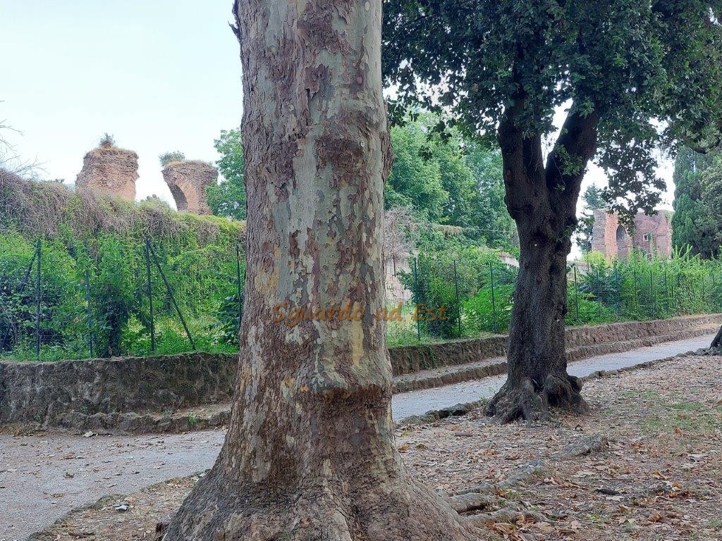 Musica Jazz a Villa Celimontana (6)