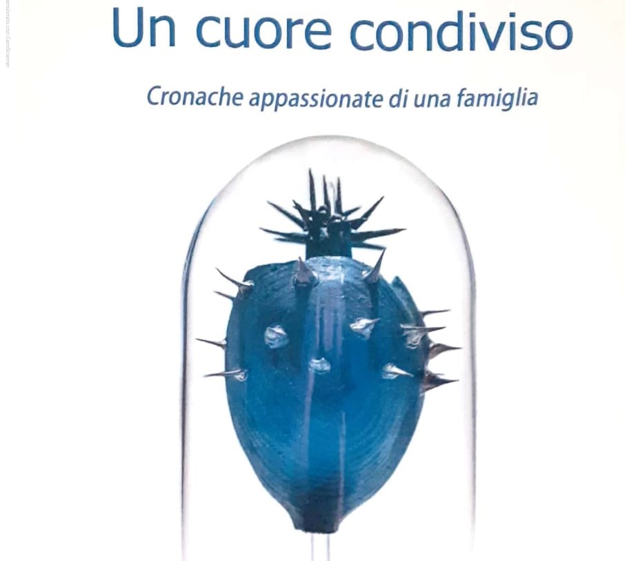 Un cuore condiviso di Vincenzo De Lillo