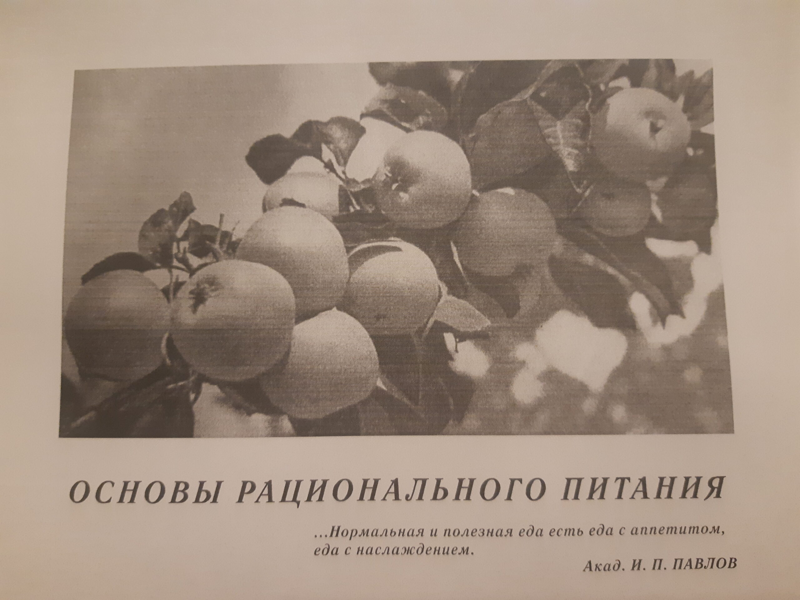 esercizi di russo prepositivo