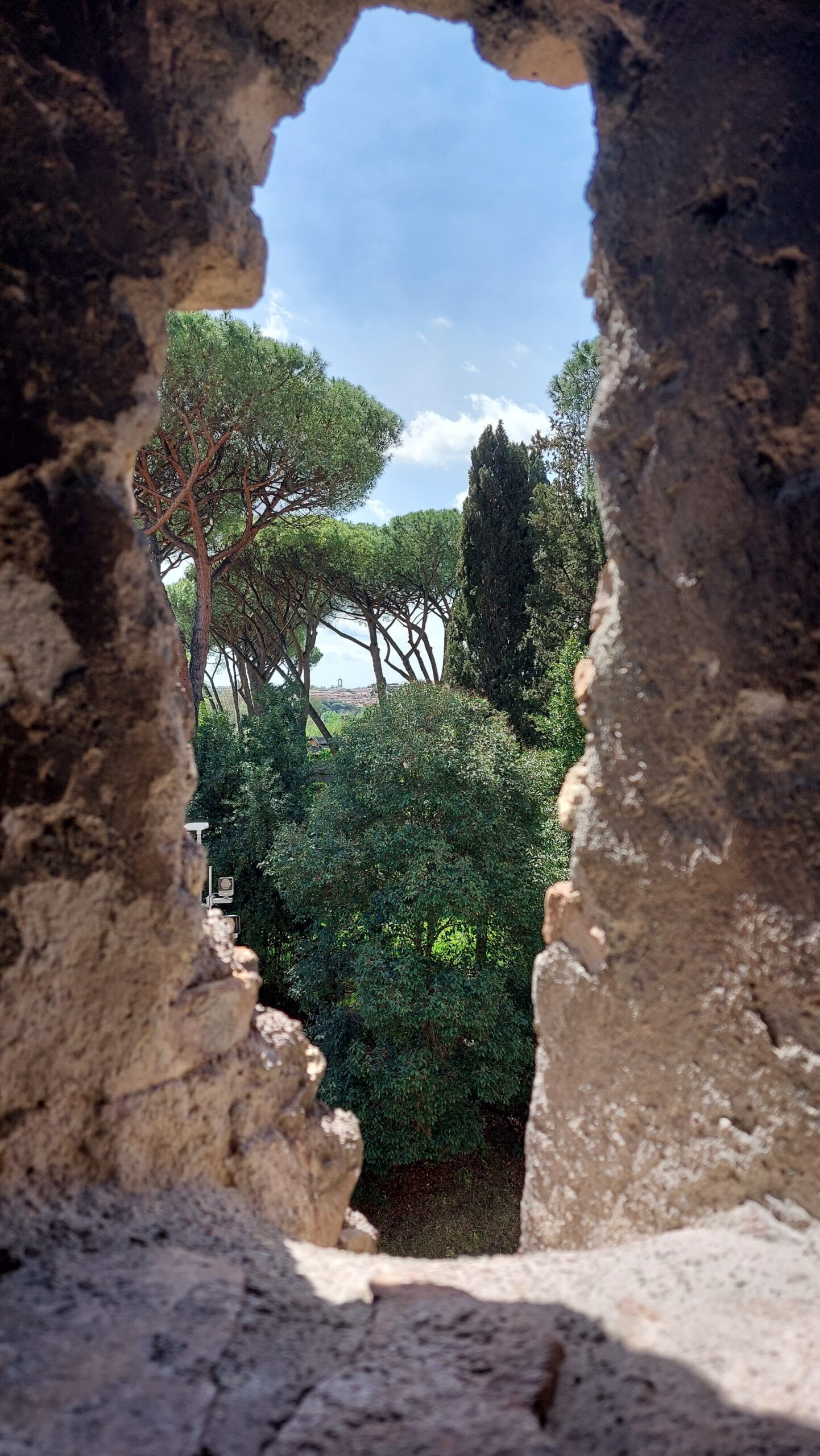 Mostra_Gaia Terra_81